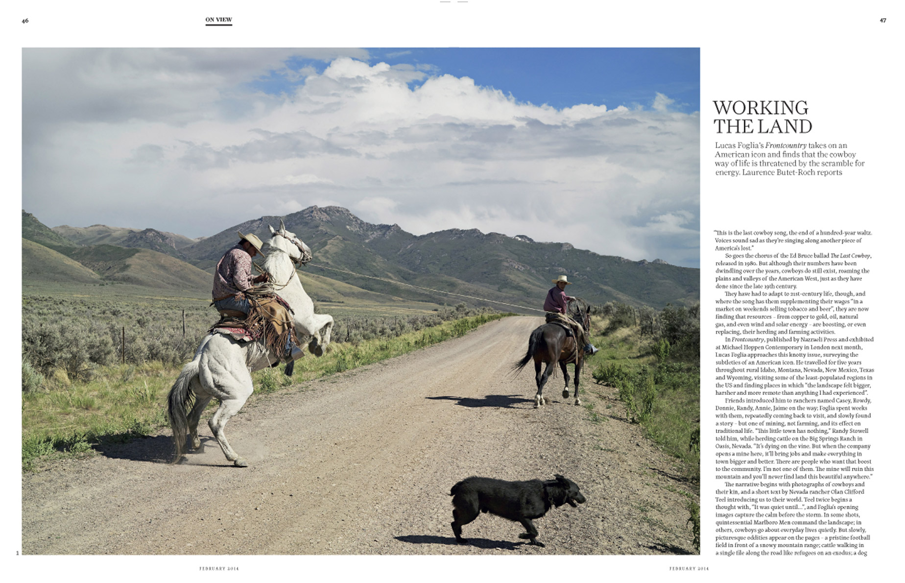 06_2014_02_BJP_Foglia-1