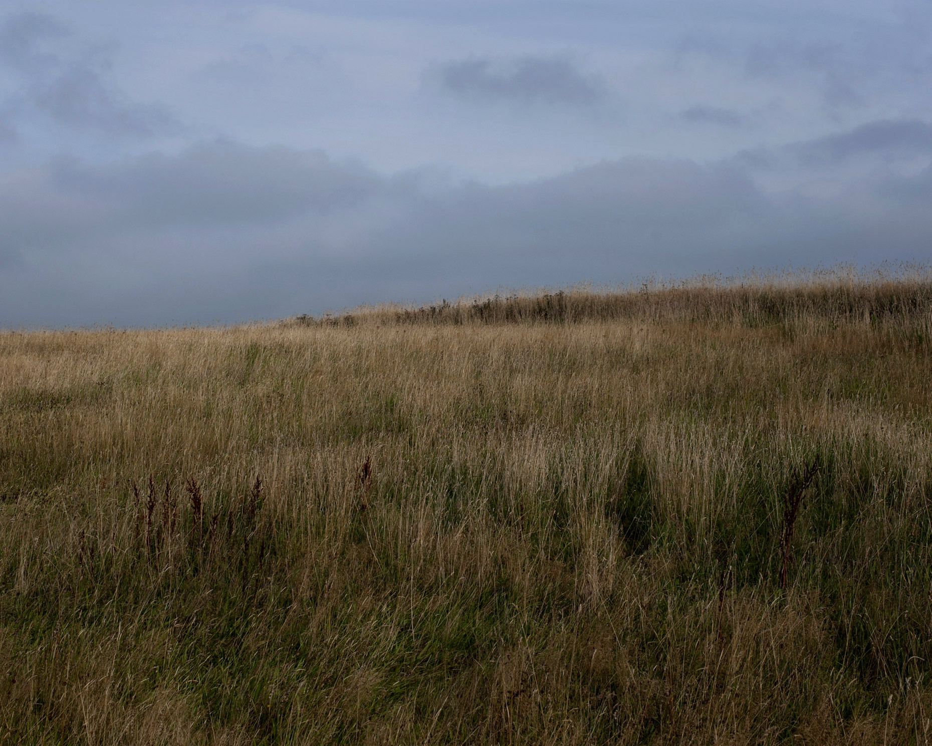 Culloden Fields
